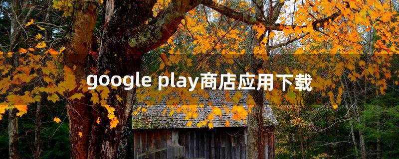 google play商店应用下载